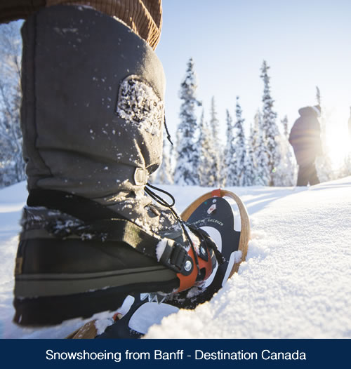 Snowshoeing Banff
